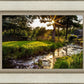 Plate 4 - Downham Spring Brook at Sunset