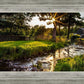 Plate 4 - Downham Spring Brook at Sunset