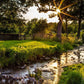 Plate 4 - Downham Spring Brook at Sunset
