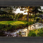 Plate 4 - Downham Spring Brook at Sunset