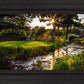 Plate 4 - Downham Spring Brook at Sunset