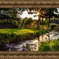 Plate 4 - Downham Spring Brook at Sunset