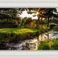 Plate 4 - Downham Spring Brook at Sunset
