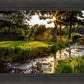 Plate 4 - Downham Spring Brook at Sunset