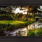 Plate 4 - Downham Spring Brook at Sunset