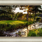 Plate 4 - Downham Spring Brook at Sunset