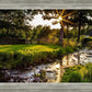Plate 4 - Downham Spring Brook at Sunset