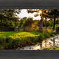 Plate 4 - Downham Spring Brook at Sunset