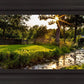 Plate 4 - Downham Spring Brook at Sunset