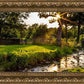 Plate 4 - Downham Spring Brook at Sunset