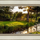 Plate 4 - Downham Spring Brook at Sunset
