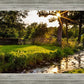 Plate 4 - Downham Spring Brook at Sunset