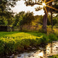 Plate 4 - Downham Spring Brook at Sunset