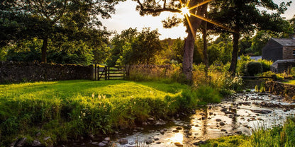 Plate 4 - Downham Spring Brook at Sunset