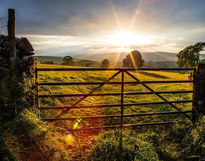 Plate 2 - Downham Gate After Storm
