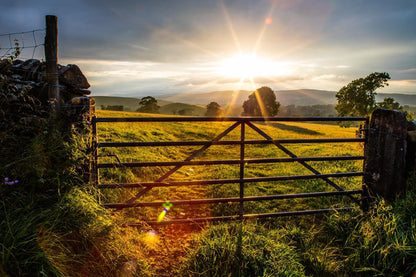 Plate 2 - Downham Gate After Storm
