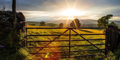 Plate 2 - Downham Gate After Storm
