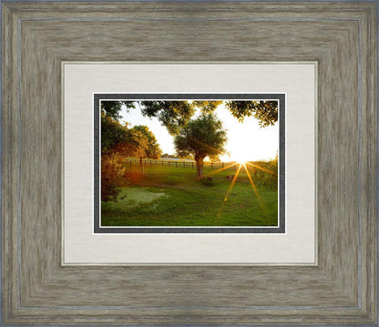 Plate 2 - Preparing a Pond