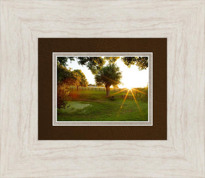 Plate 2 - Preparing a Pond