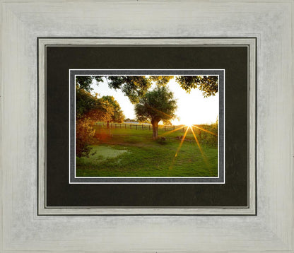 Plate 2 - Preparing a Pond