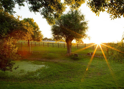 Plate 2 - Preparing a Pond