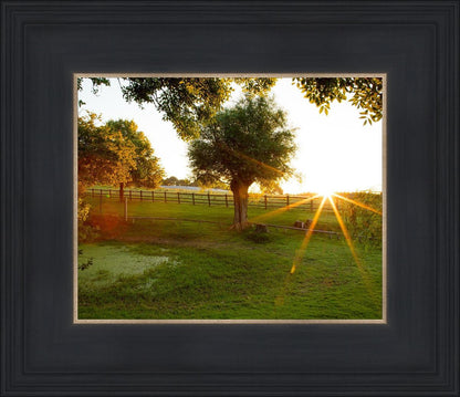 Plate 2 - Preparing a Pond