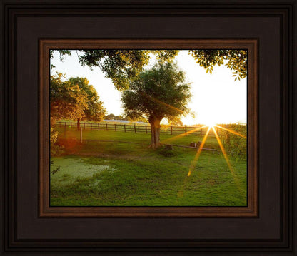 Plate 2 - Preparing a Pond