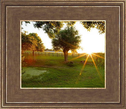 Plate 2 - Preparing a Pond