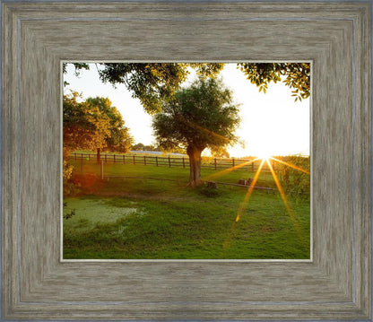 Plate 2 - Preparing a Pond