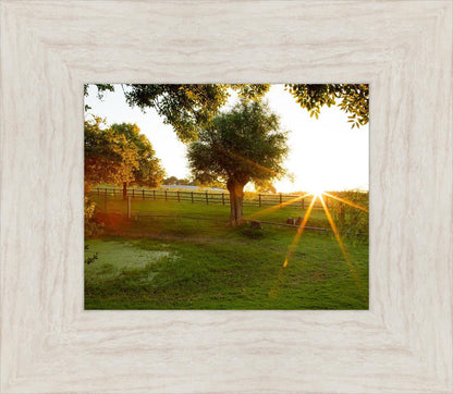 Plate 2 - Preparing a Pond