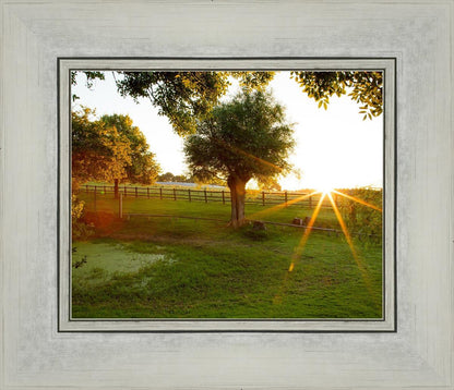 Plate 2 - Preparing a Pond