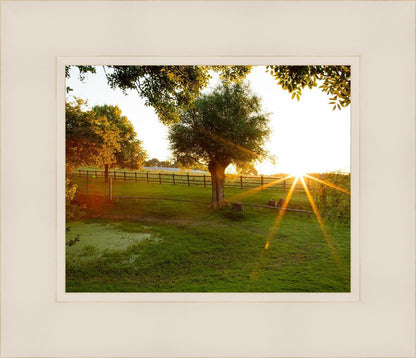 Plate 2 - Preparing a Pond