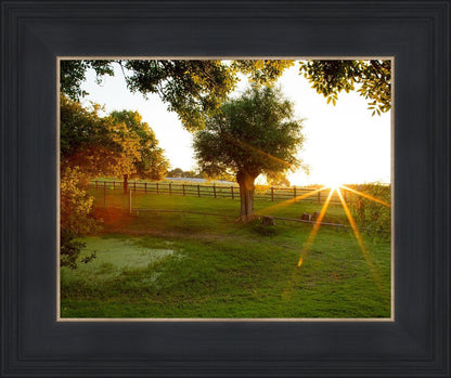 Plate 2 - Preparing a Pond