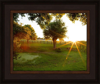 Plate 2 - Preparing a Pond