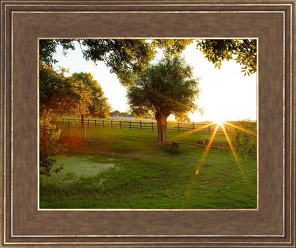 Plate 2 - Preparing a Pond