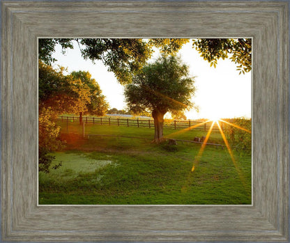 Plate 2 - Preparing a Pond