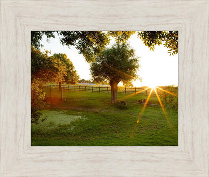 Plate 2 - Preparing a Pond