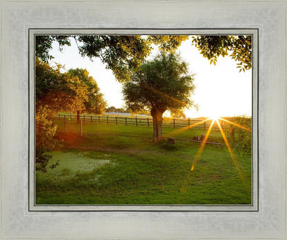 Plate 2 - Preparing a Pond