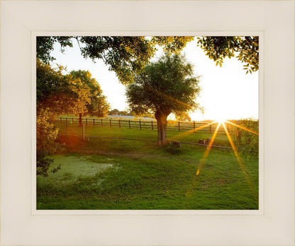 Plate 2 - Preparing a Pond