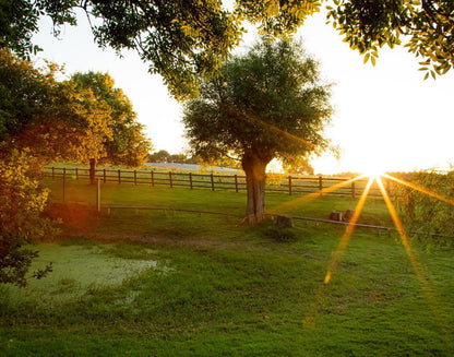 Plate 2 - Preparing a Pond