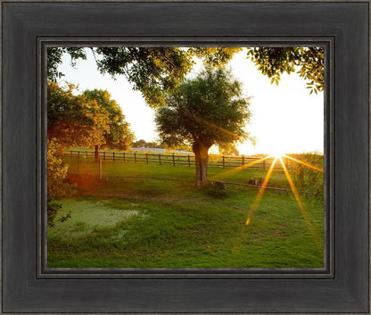 Plate 2 - Preparing a Pond