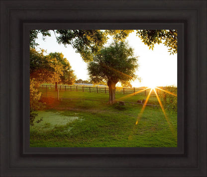 Plate 2 - Preparing a Pond