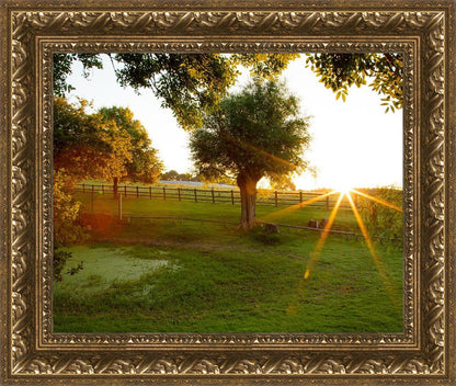 Plate 2 - Preparing a Pond