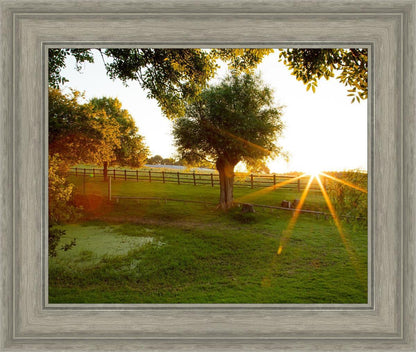 Plate 2 - Preparing a Pond