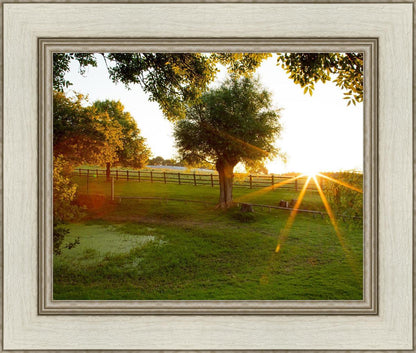 Plate 2 - Preparing a Pond