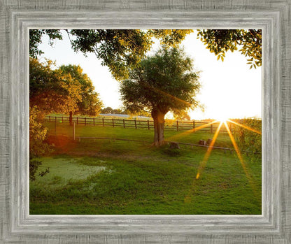 Plate 2 - Preparing a Pond