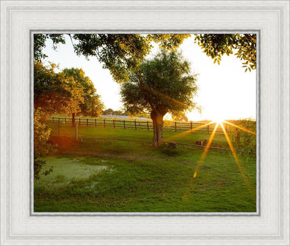 Plate 2 - Preparing a Pond