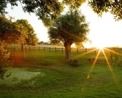 Plate 2 - Preparing a Pond