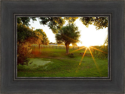 Plate 2 - Preparing a Pond