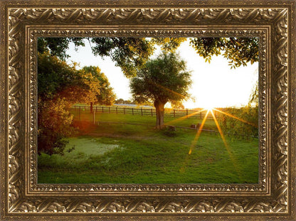 Plate 2 - Preparing a Pond